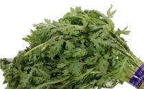 ?茼蒿菜的作用與功效 茼蒿的食用禁忌