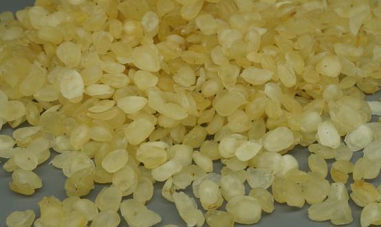 雪蓮子有不錯(cuò)的保健養(yǎng)生作用 雪蓮子的食用方法