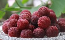 ?楊梅有果中瑪瑙之譽 楊梅的食用禁忌