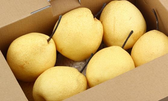 雪梨的功效與作用 推薦雪梨的吃法