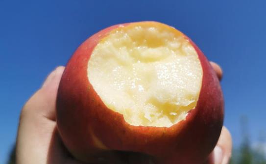 蘋果酸酸甜甜果香怡人 蘋果的12個保健功效和作用