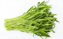 ?蕹菜的功效與作用 蕹菜的三種美味做法