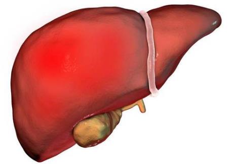 為什么手機是睡眠殺手？習慣性睡前玩手機、長期熬夜玩手機的危害