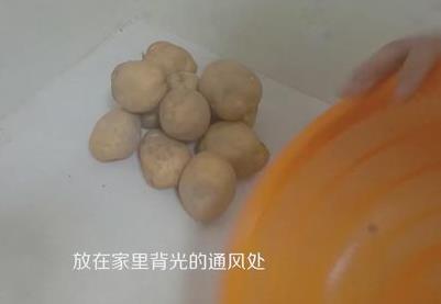 土豆發芽了還能吃嗎？剛發芽的土豆可以吃嗎