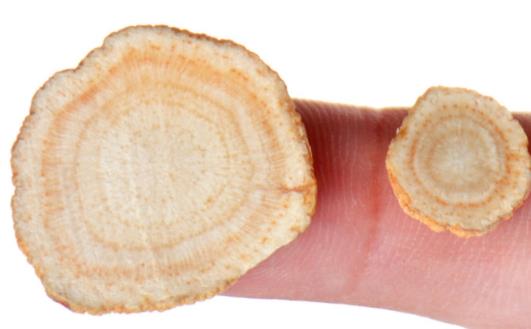 陽虛體質可以吃西洋參嗎 陽虛泡酒用什么藥材