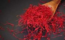 牛蛙價格最新市場價格